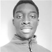 Maths tutor providing lessons to pupils of all ages and levels
